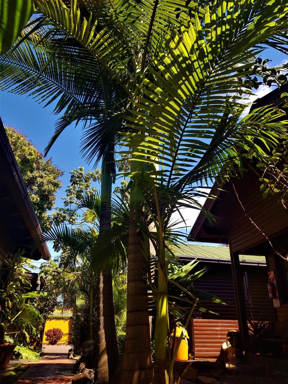 Si Mi Capitán - Cabañas&Habitaciones Puerto Iguazú Esterno foto