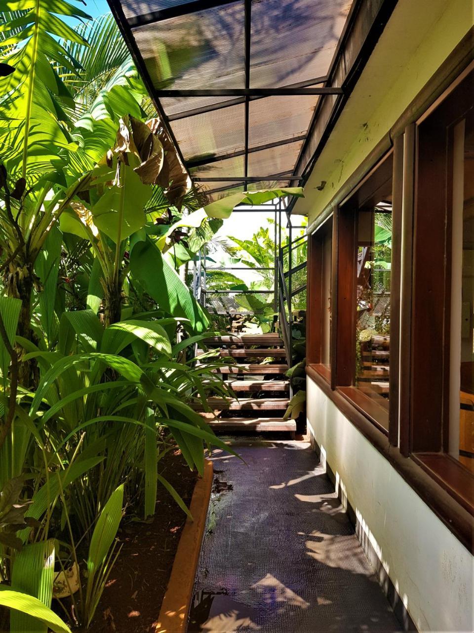 Si Mi Capitán - Cabañas&Habitaciones Puerto Iguazú Esterno foto
