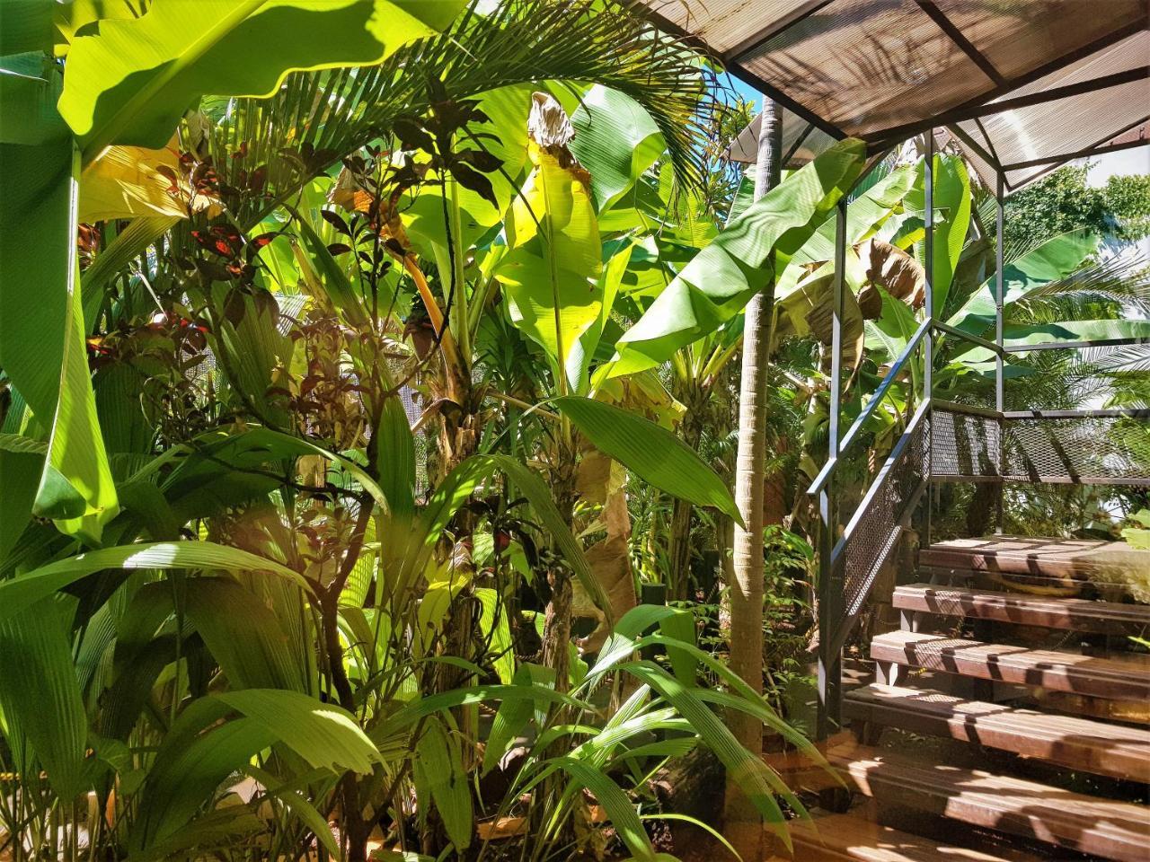 Si Mi Capitán - Cabañas&Habitaciones Puerto Iguazú Esterno foto